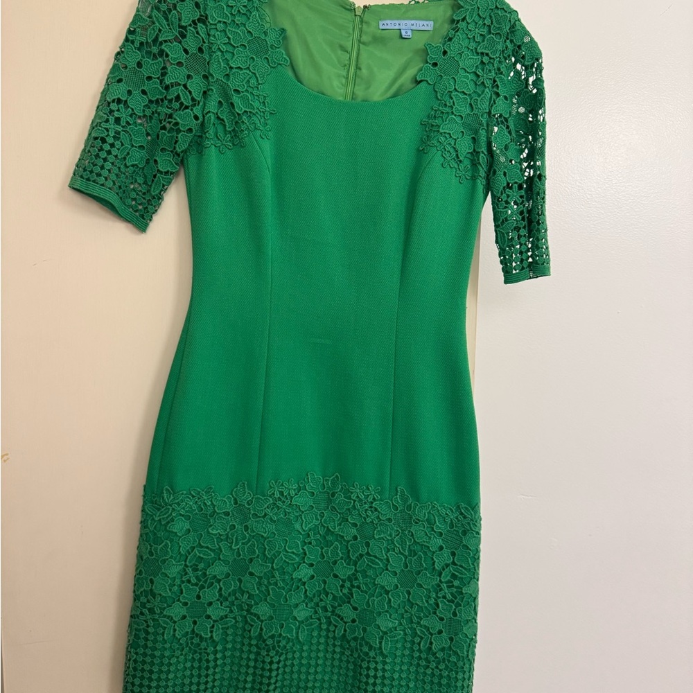 Antonio Melani Green Lace Dress